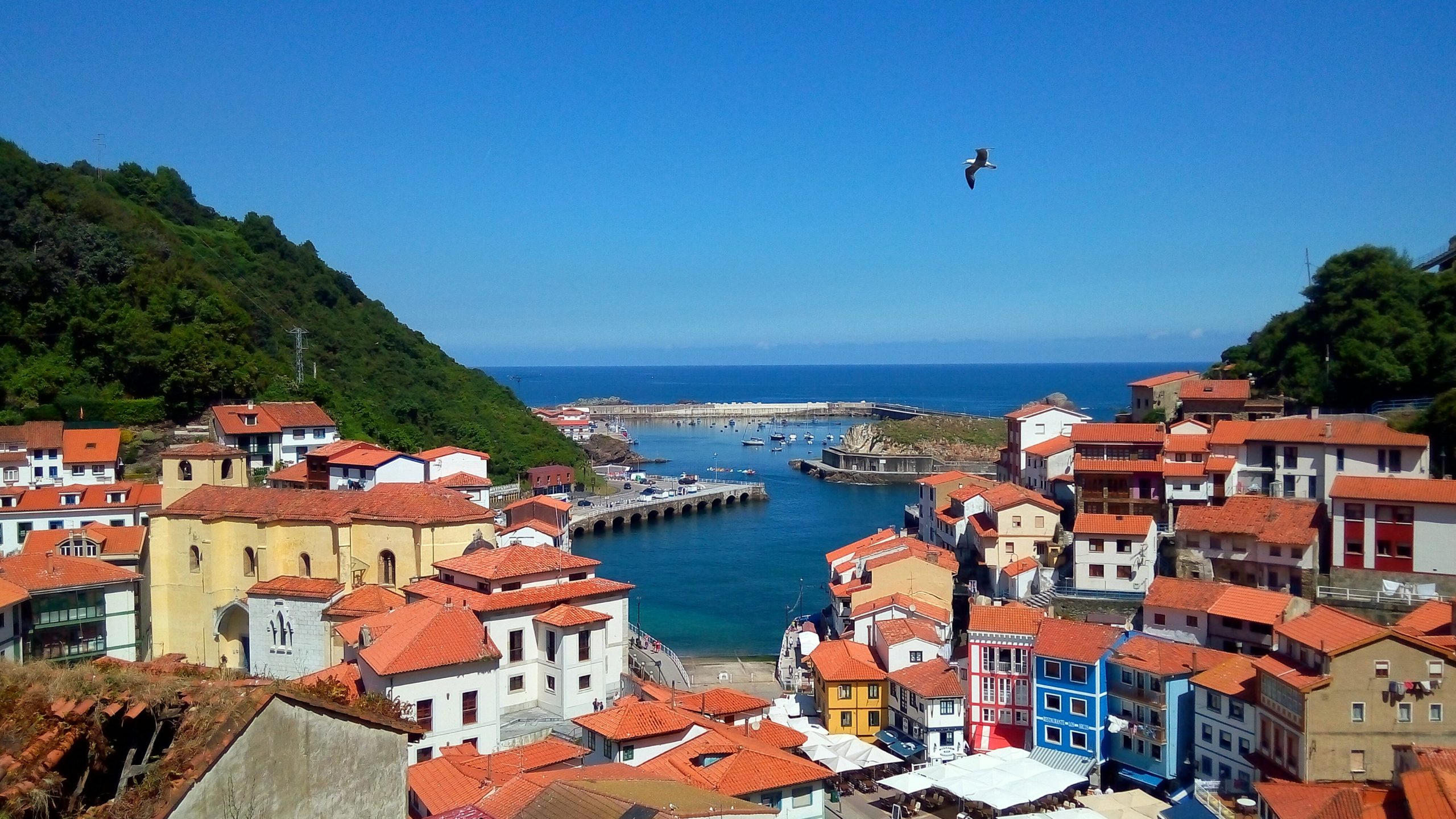 You are currently viewing Top Tips for Walking the Camino de Santiago